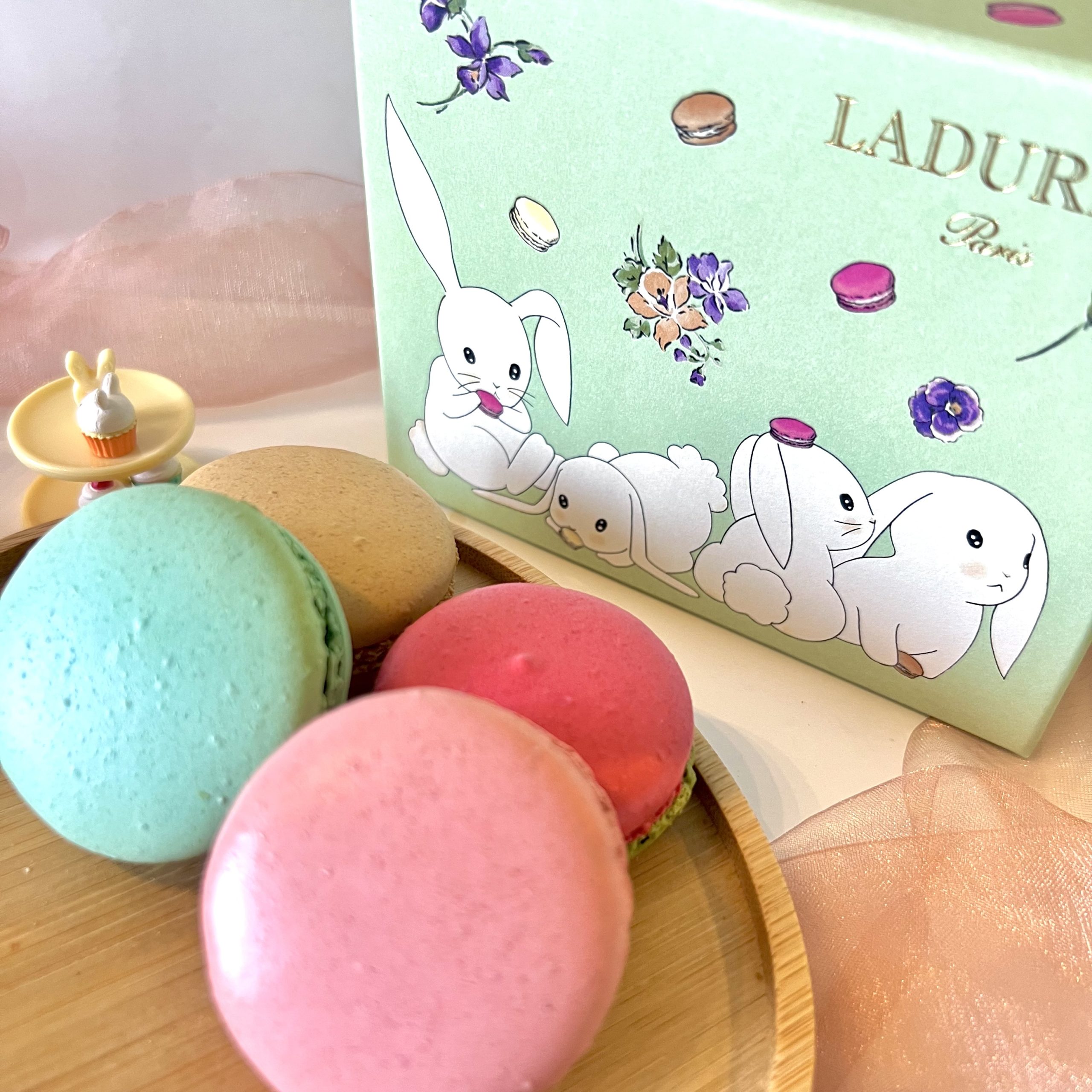 LADUREE】ラデュレジャパン・札幌三越限定のマカロンボックス